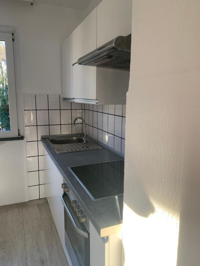 Apartament Blumenblick Rielasingen-Worblingen Dış mekan fotoğraf