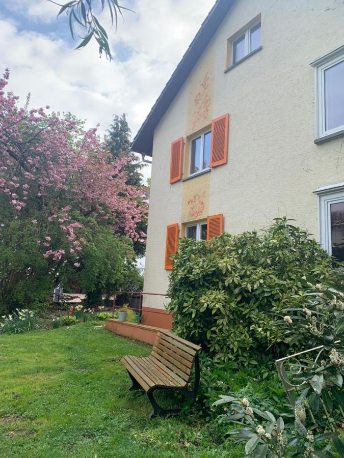 Apartament Blumenblick Rielasingen-Worblingen Dış mekan fotoğraf