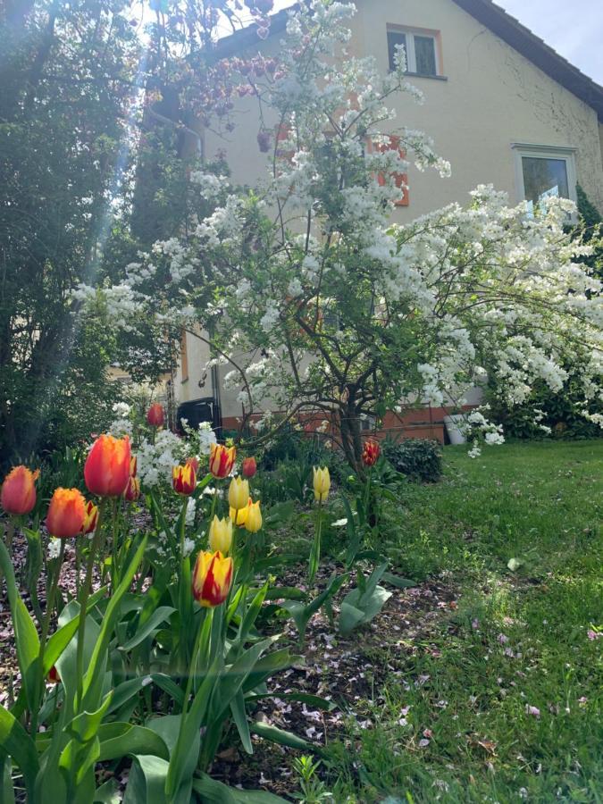 Apartament Blumenblick Rielasingen-Worblingen Dış mekan fotoğraf