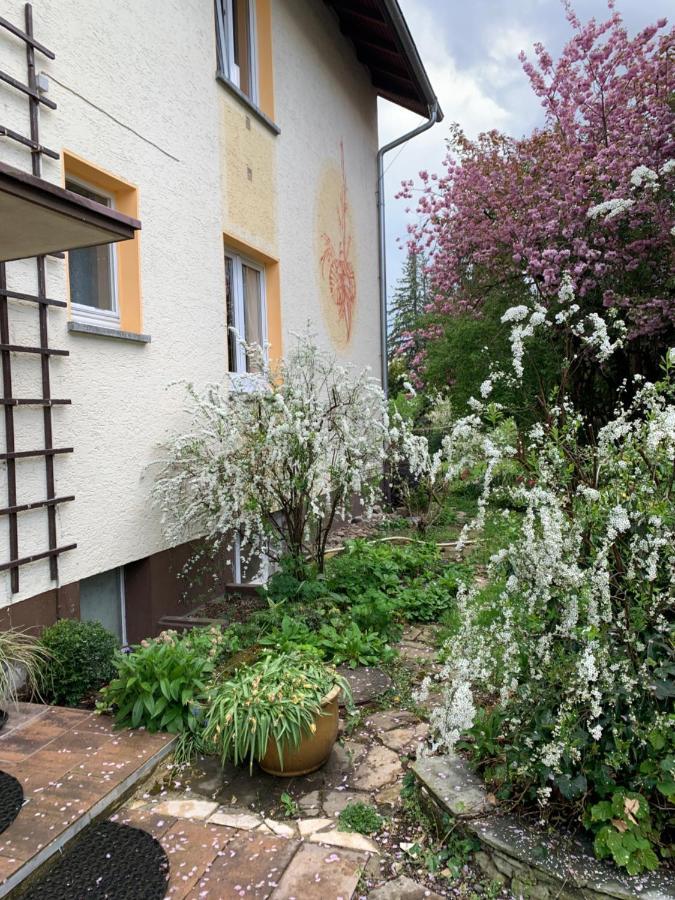 Apartament Blumenblick Rielasingen-Worblingen Dış mekan fotoğraf