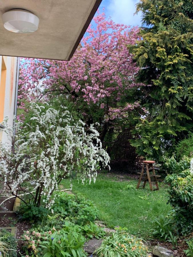 Apartament Blumenblick Rielasingen-Worblingen Dış mekan fotoğraf