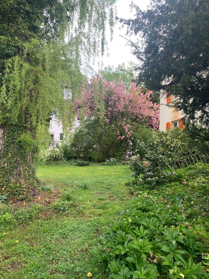 Apartament Blumenblick Rielasingen-Worblingen Dış mekan fotoğraf
