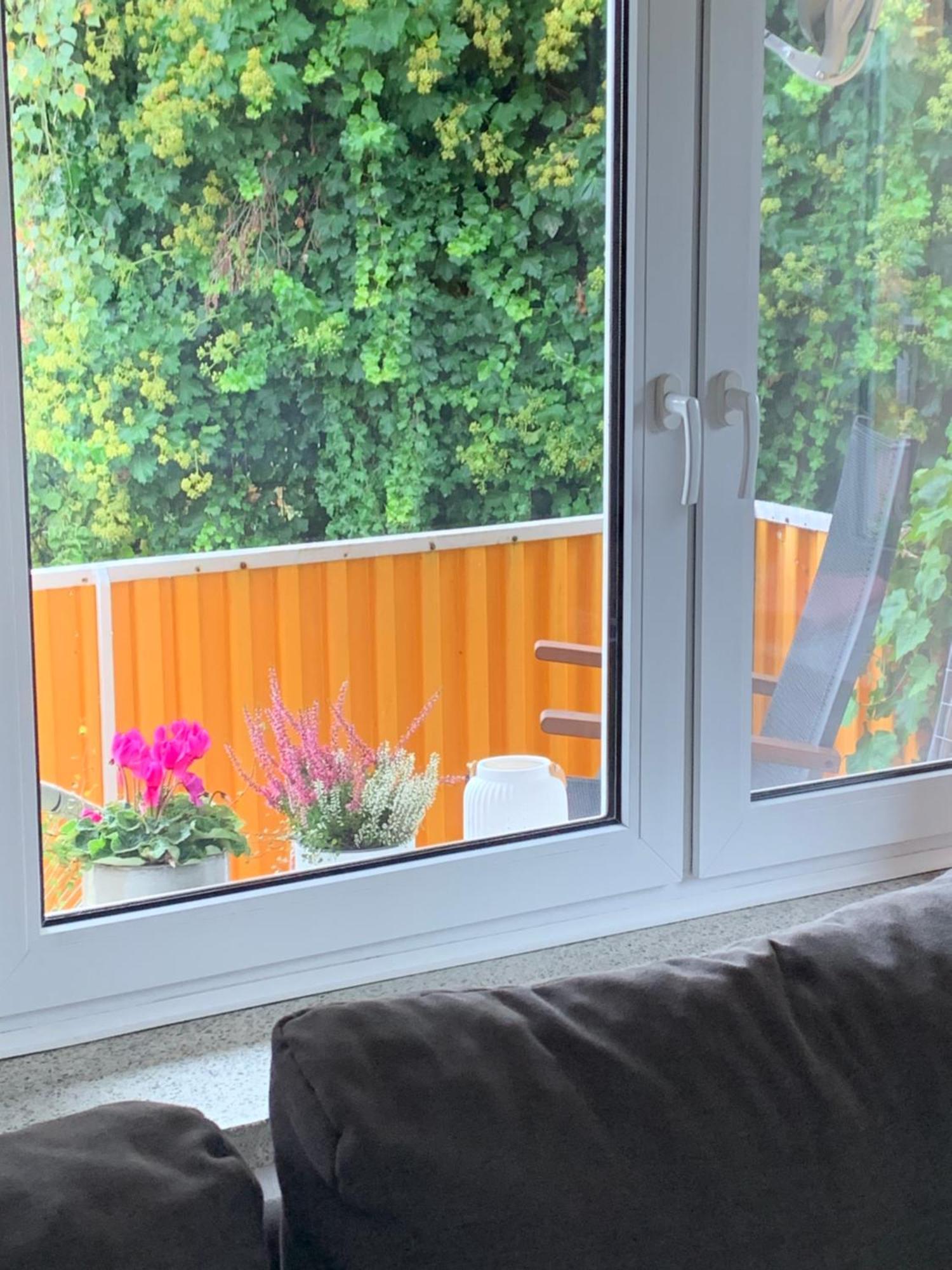Apartament Blumenblick Rielasingen-Worblingen Dış mekan fotoğraf